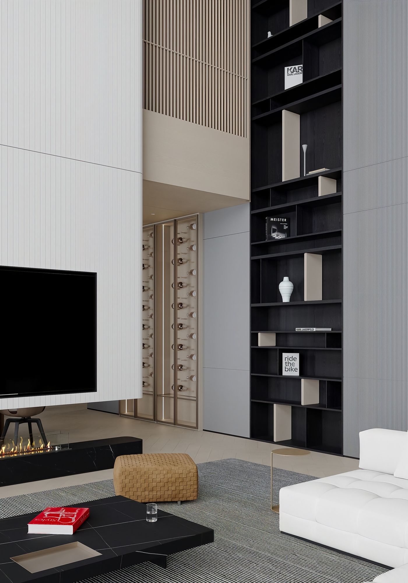 Minimal Double-Height Villa preview 4